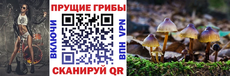 как найти закладки  mega зеркало  Псилоцибиновые грибы MAGIC MUSHROOMS  Боровичи 